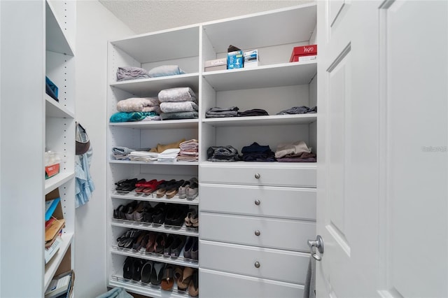 776 Alcott Ave, The Villages, FL 32162 - view of walk in closet