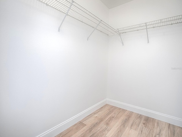 walk in closet featuring light wood-type flooring