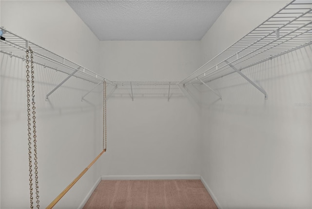 walk in closet with light colored carpet