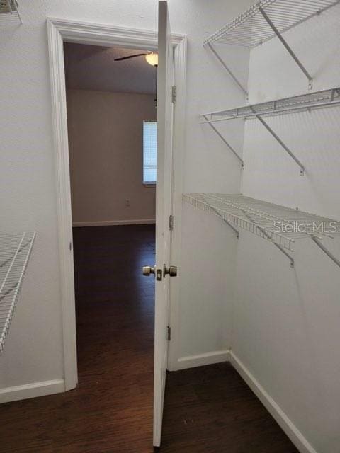 spacious closet with dark wood-type flooring