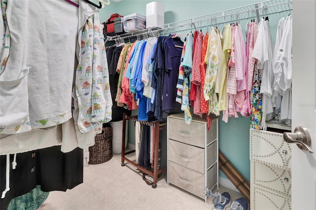 spacious closet featuring carpet