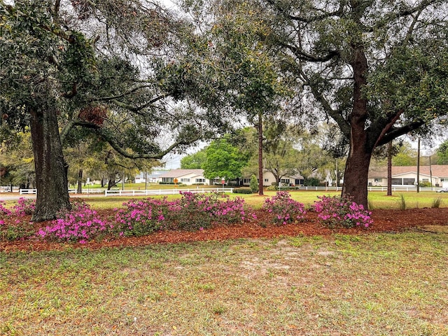 view of community with a yard