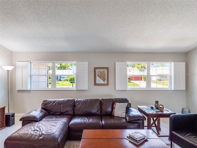 living room featuring a textured ceiling