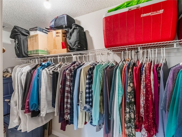 view of spacious closet