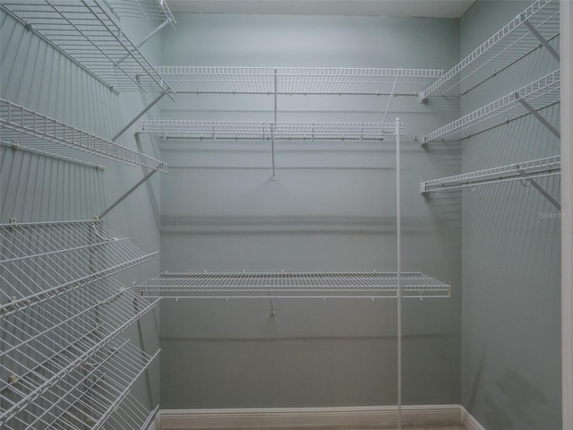 view of walk in closet