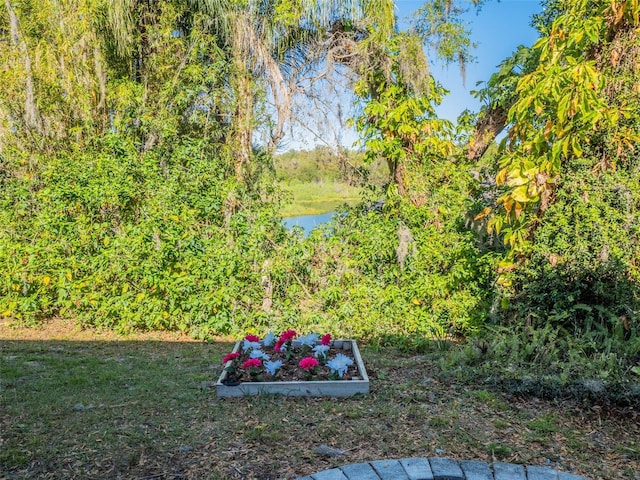 view of yard with a water view