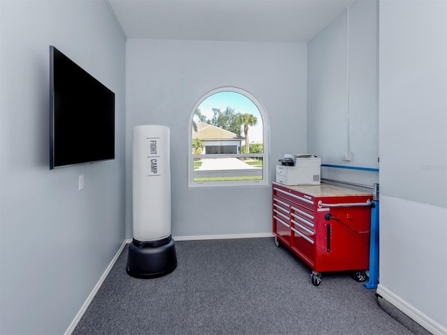 miscellaneous room featuring baseboards and carpet floors