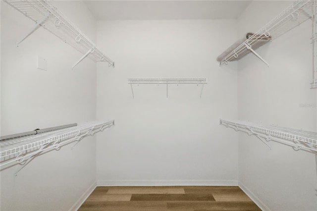 walk in closet featuring light wood finished floors