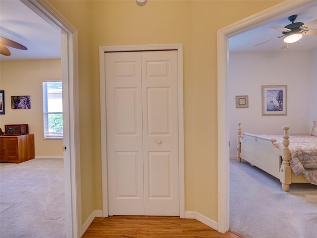 24104 Robinwood St, Leesburg, FL 34748 - photo 21