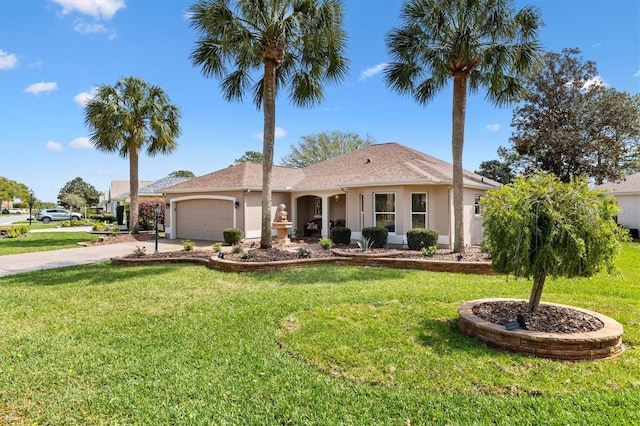 ranch-style home with stucco siding, driveway, and a front yard