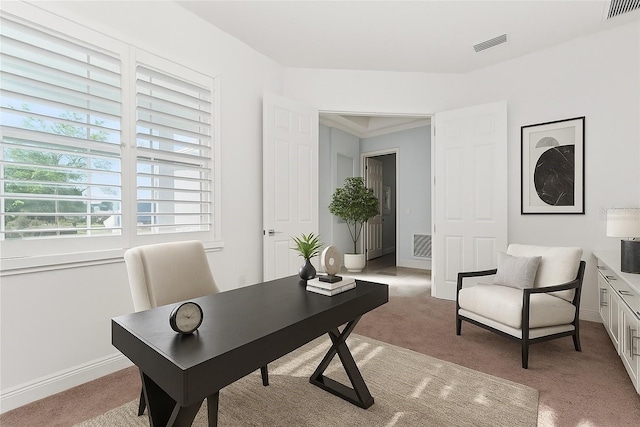 2174 Wallingford Loop, Mount Dora, FL 32757 - office featuring light colored carpet and baseboards