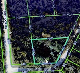 8455 Coalstone Dr, Webster, FL 33597