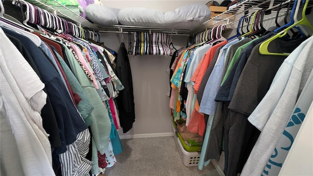 walk in closet with carpet flooring