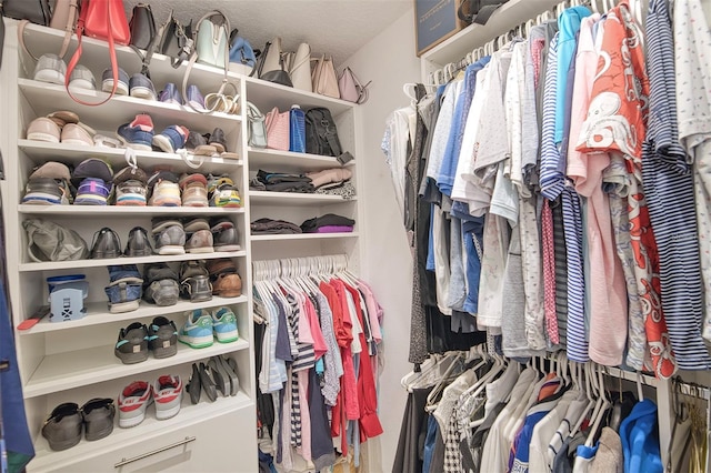 view of spacious closet