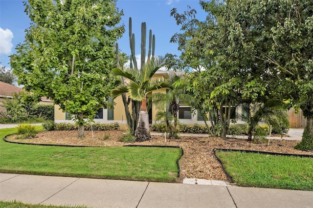 257 Winding Cove Ave, Apopka, FL 32703 - obstructed view of property featuring stucco siding and a front lawn
