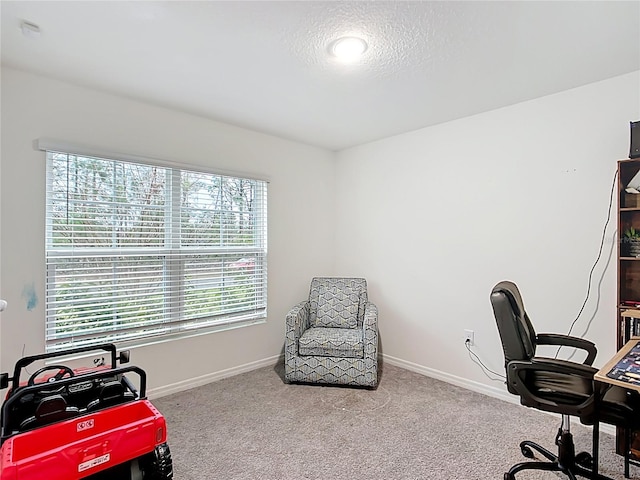 home office featuring baseboards and carpet flooring