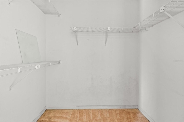 spacious closet with light colored carpet