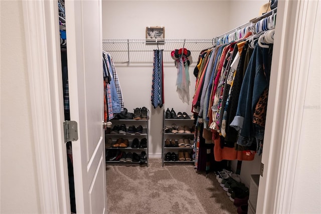 walk in closet with carpet floors