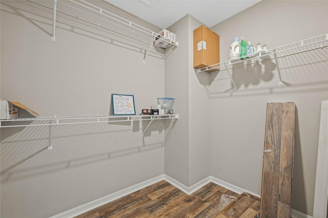 walk in closet featuring wood finished floors