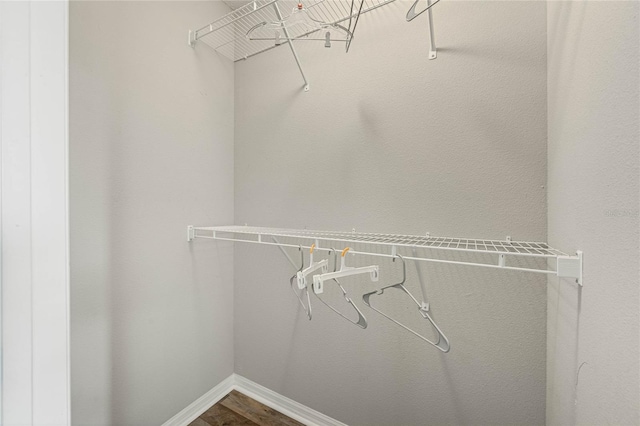 walk in closet featuring dark wood-style floors