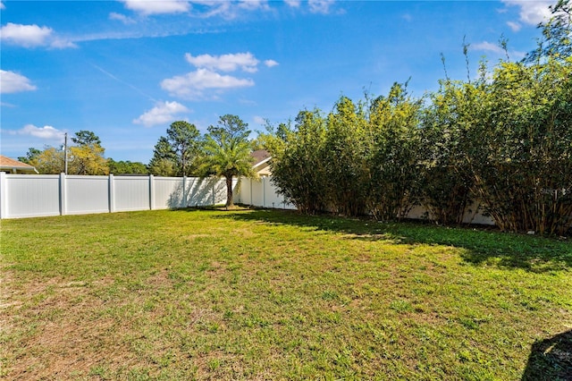 8880 SE 161st St, Summerfield, FL 34491 - view of yard featuring a fenced backyard