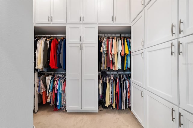 view of closet