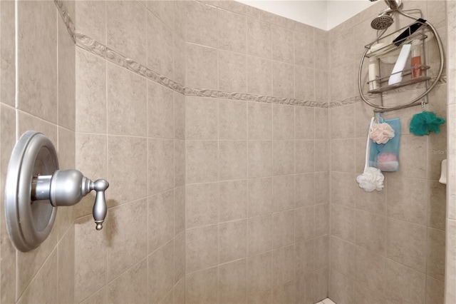 room details featuring tiled shower