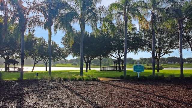 view of property's community with a lawn