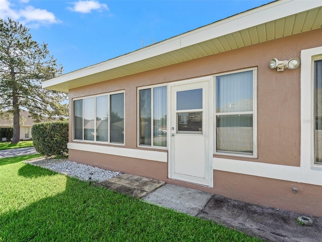 view of exterior entry with a yard and stucco siding