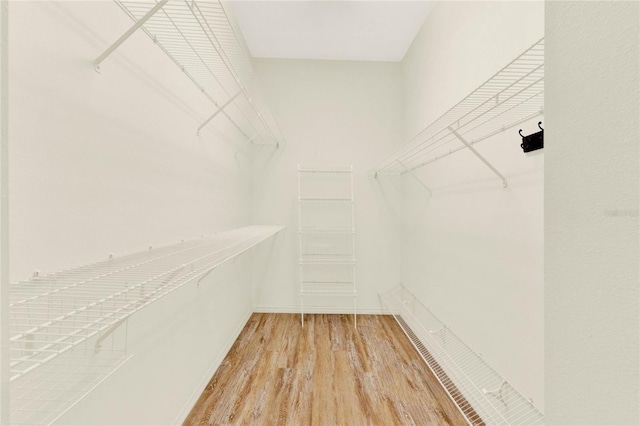 walk in closet featuring light wood finished floors