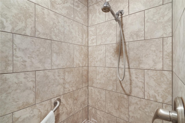 interior details featuring tiled shower