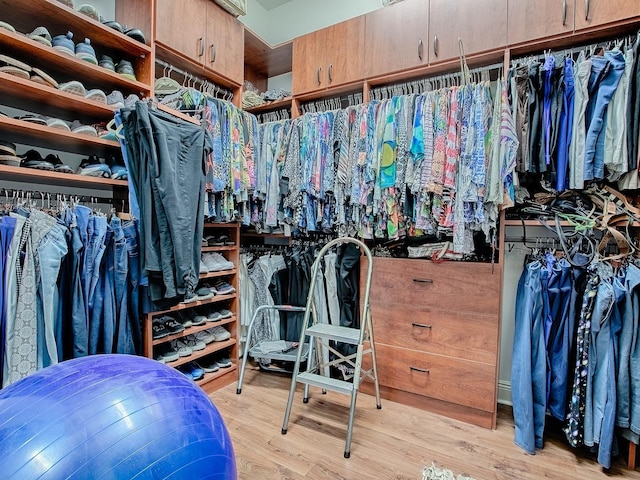 spacious closet featuring wood finished floors