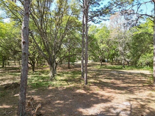 1936 Sr 471, Sumterville, FL 33585 - photo 13