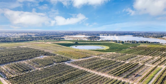 drone / aerial view featuring a water view and a rural view