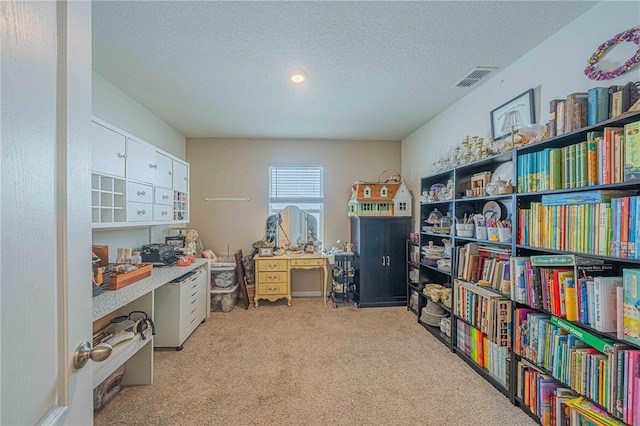 3719 Holly Grove Ln, Mount Dora, FL 32757 - office with carpet flooring and a textured ceiling