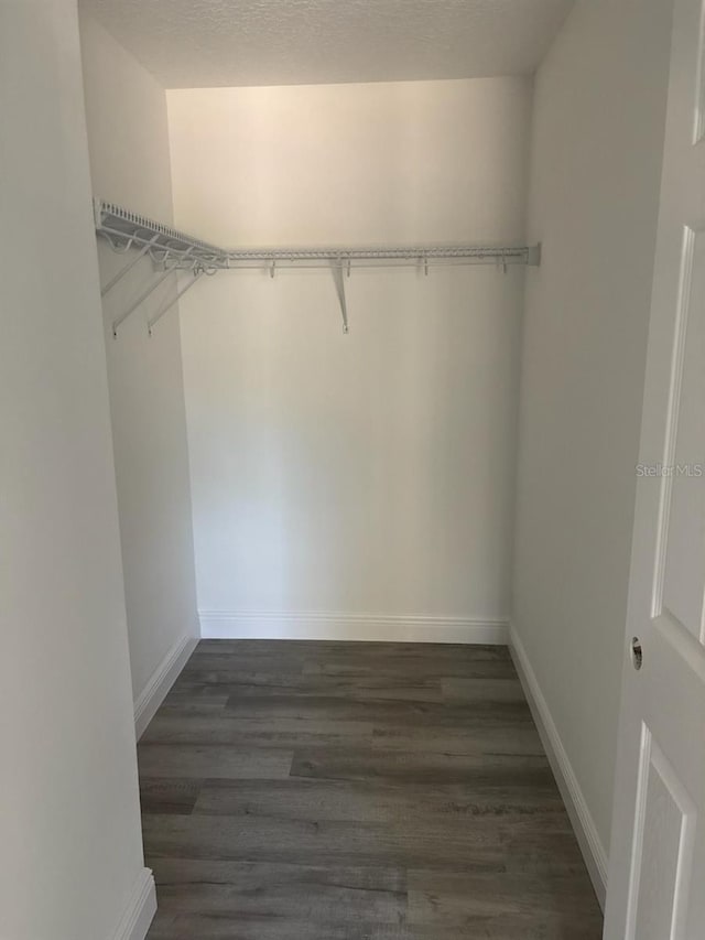 walk in closet with dark wood-style floors