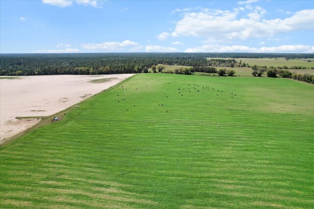 190AC-SEEADDTLPIDS NW 225th Ave, Dunnellon, FL 34431 - photo 9