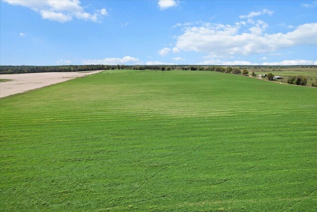 190AC-SEEADDTLPIDS NW 225th Ave, Dunnellon, FL 34431 - photo 12