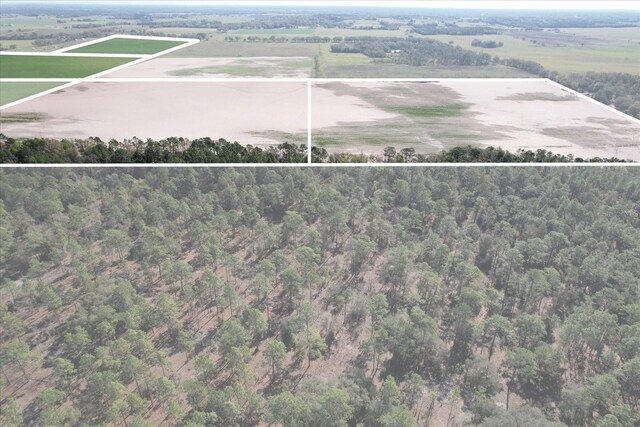 190AC-SEEADDTLPIDS NW 225th Ave, Dunnellon, FL 34431 - photo 19