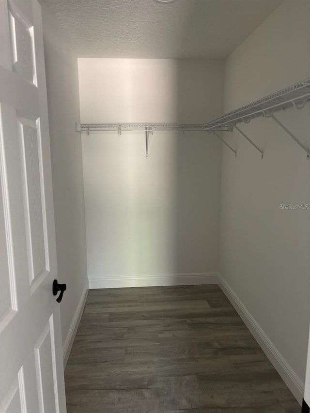 walk in closet featuring dark wood-style flooring