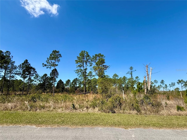 Listing photo 3 for LOT8AND9 Honeysuckle St, Eustis FL 32736