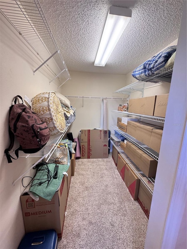 walk in closet featuring carpet floors