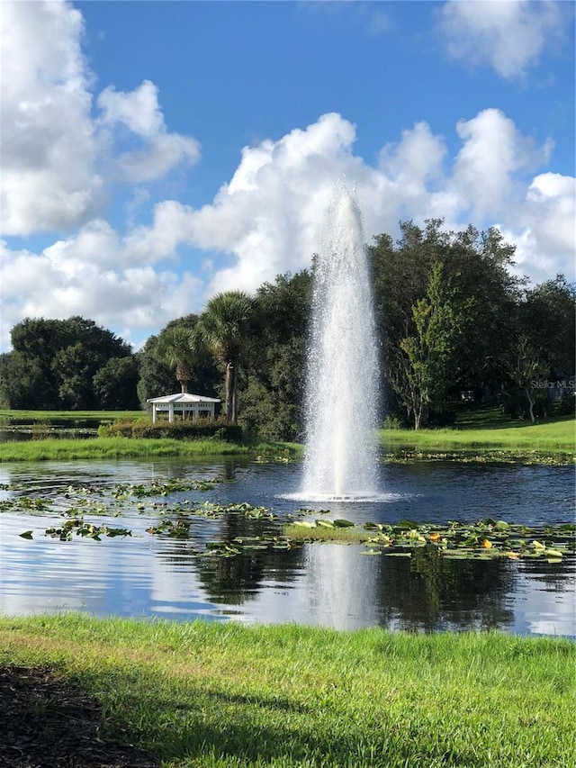 view of water feature