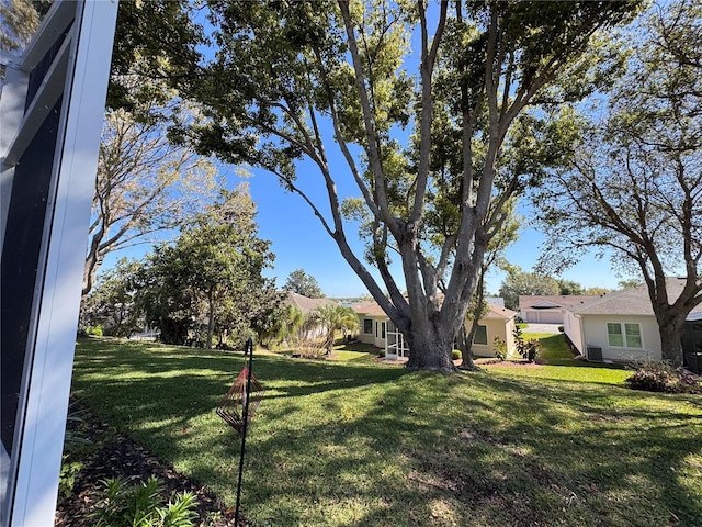 24614 Stillridge Ct, Leesburg, FL 34748 - view of yard