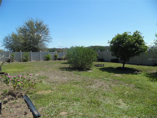 view of yard with a fenced backyard