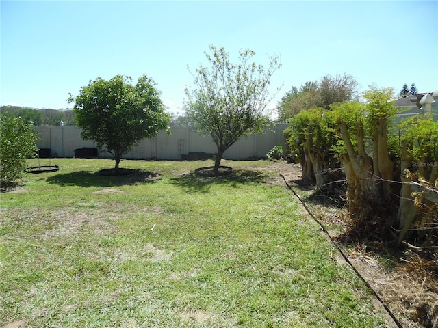 view of yard with a fenced backyard