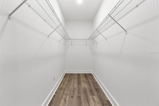 walk in closet with wood finished floors