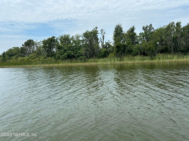 6001 Bird Island Dr, Lady Lake, FL 32159 - photo 1