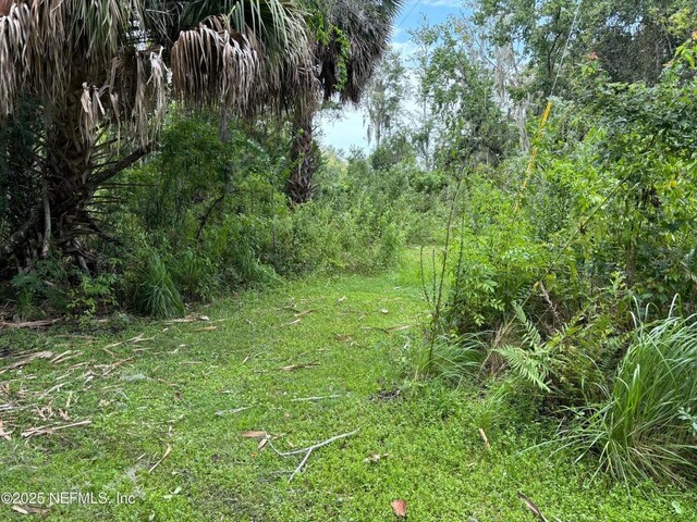 6001 Bird Island Dr, Lady Lake, FL 32159 - photo 20