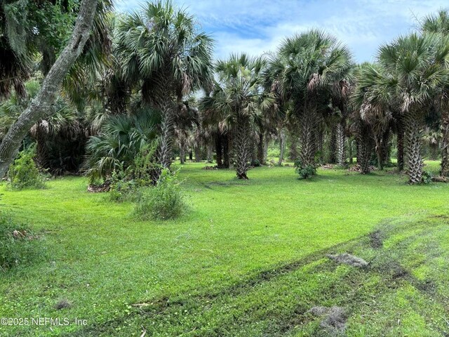 6001 Bird Island Dr, Lady Lake, FL 32159 - photo 23